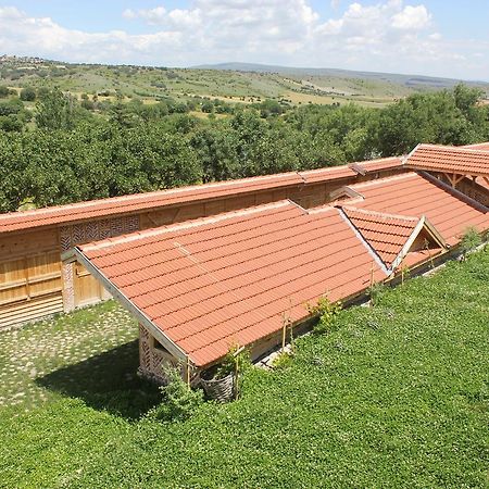 Yasayan Koey Kizilcasogut Bagian luar foto