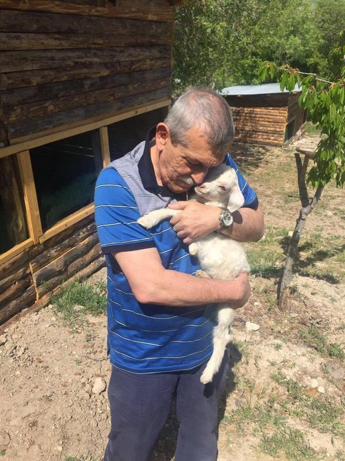 Yasayan Koey Kizilcasogut Bagian luar foto