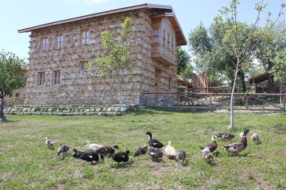 Yasayan Koey Kizilcasogut Bagian luar foto