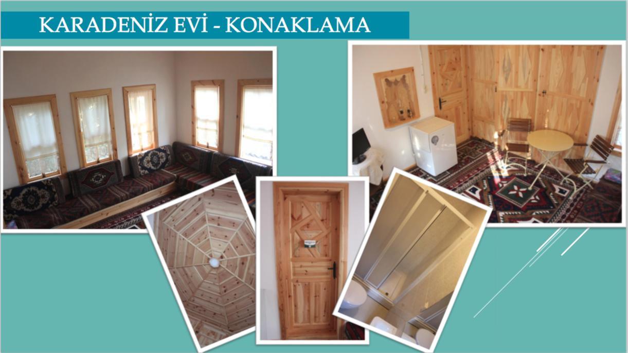 Yasayan Koey Kizilcasogut Bagian luar foto