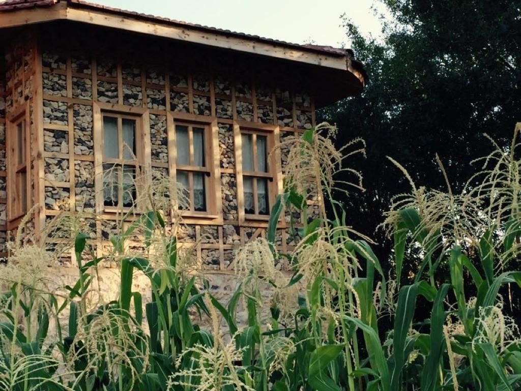Yasayan Koey Kizilcasogut Bagian luar foto