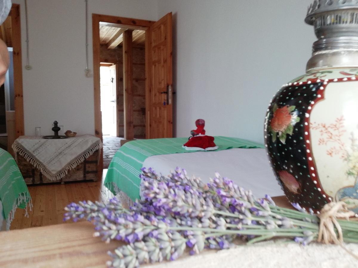 Yasayan Koey Kizilcasogut Bagian luar foto