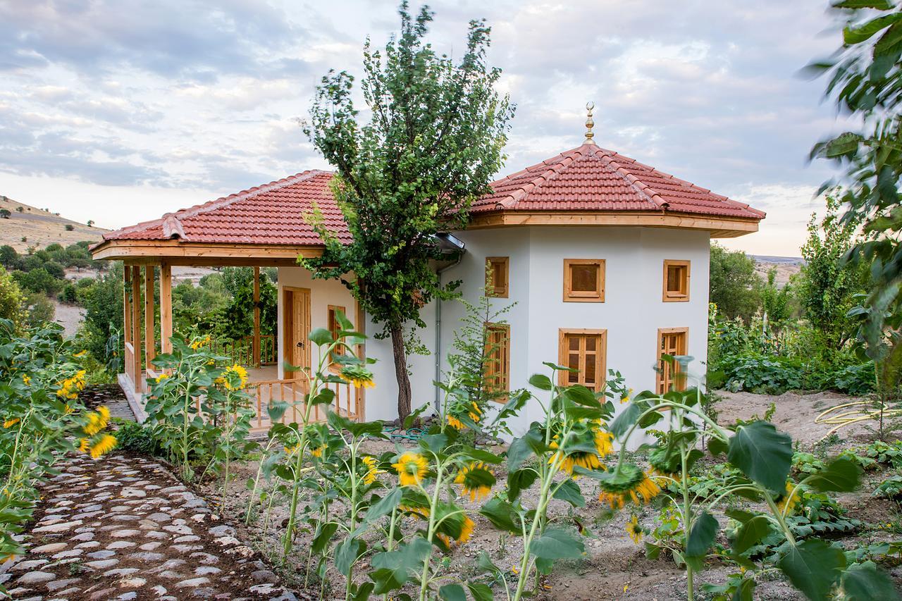Yasayan Koey Kizilcasogut Bagian luar foto