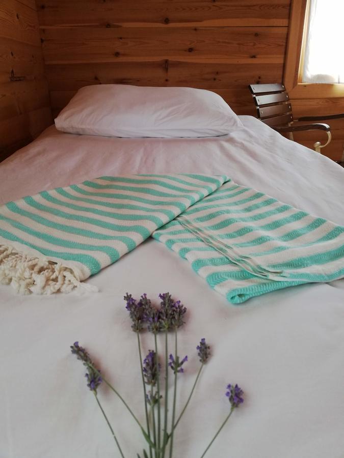Yasayan Koey Kizilcasogut Bagian luar foto