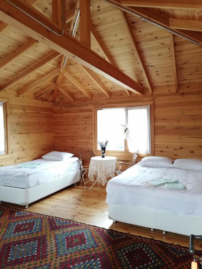 Yasayan Koey Kizilcasogut Bagian luar foto
